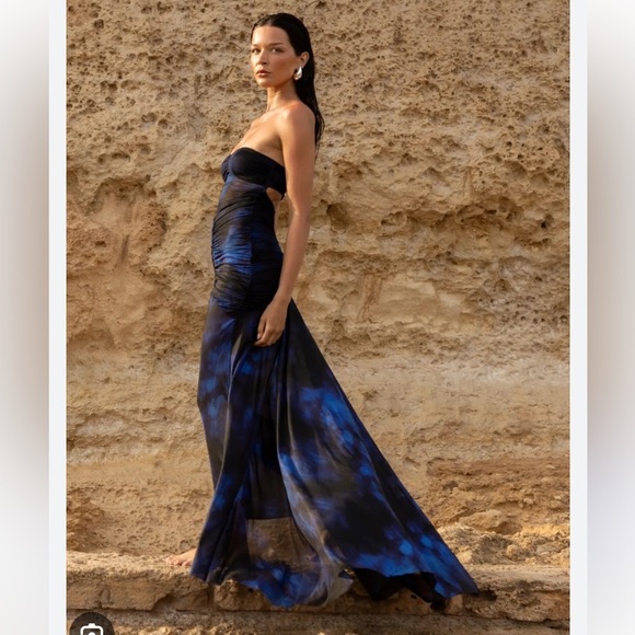 SYDNEY LANE BRONTE GATHERED MESH DRESS - Picture 4 of 14